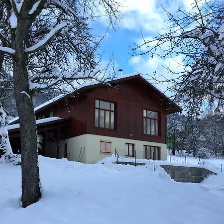 Le Green Chalet Villard-sur-Boege Exterior foto
