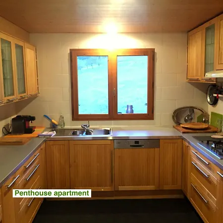 Le Green Chalet Villard-sur-Boege Exterior foto