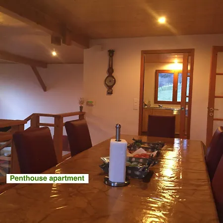Le Green Chalet Villard-sur-Boege Exterior foto