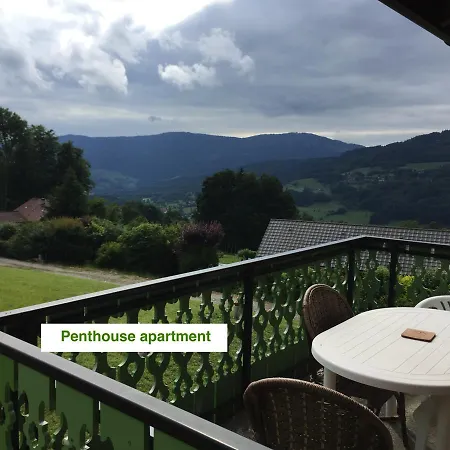 Le Green Chalet Villard-sur-Boege Exterior foto