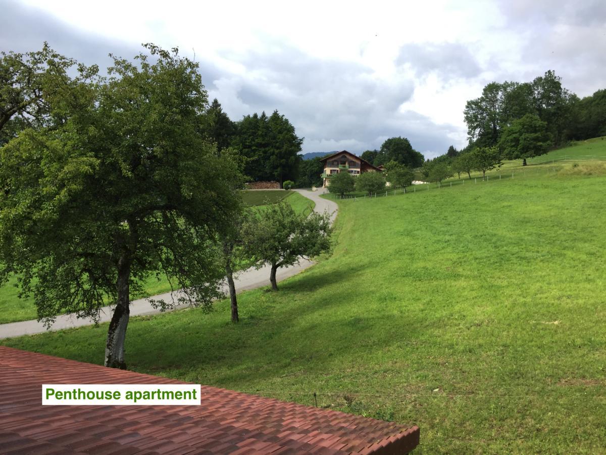 Chalet Le Villard-sur-Boege